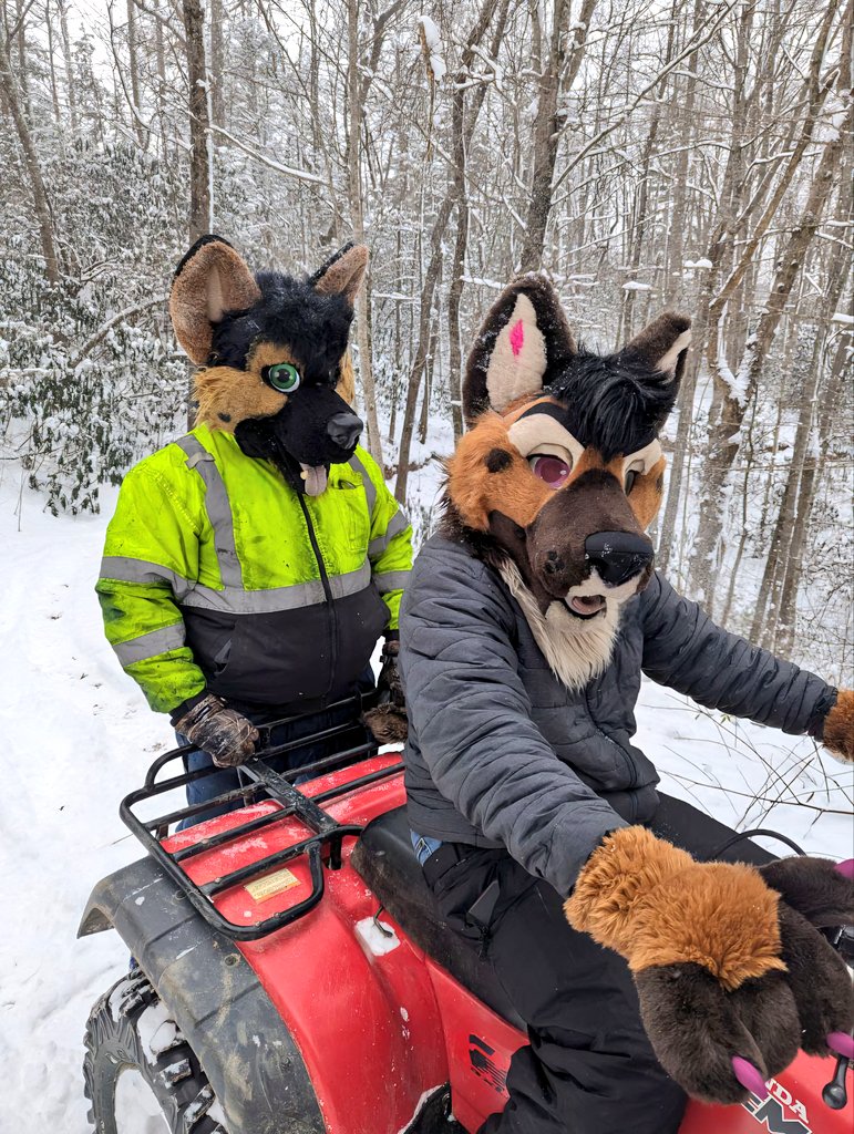 Paisley shep🔜Bewhiskered 2026! tweet media