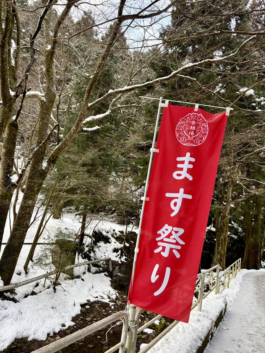 ねぎとろG tweet media