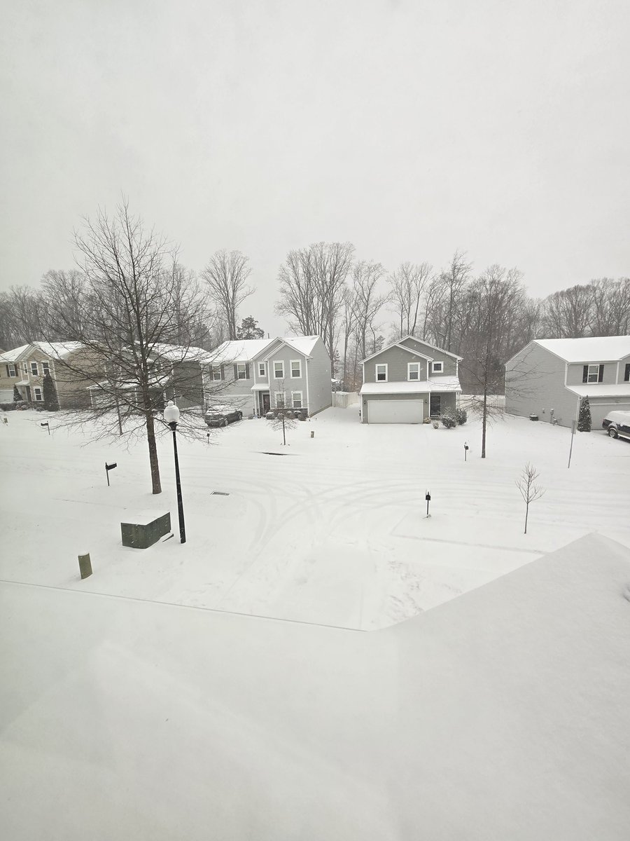 lmfclt's tweet photo. Looking at about 7 inches now. https://t.co/FU1ANgyC9Y