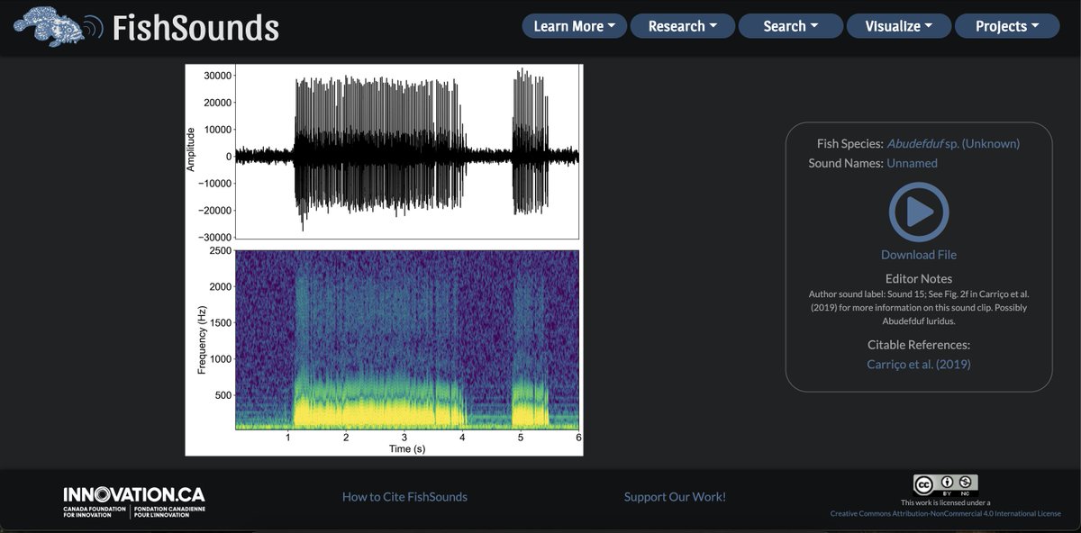 FishSounds tweet media