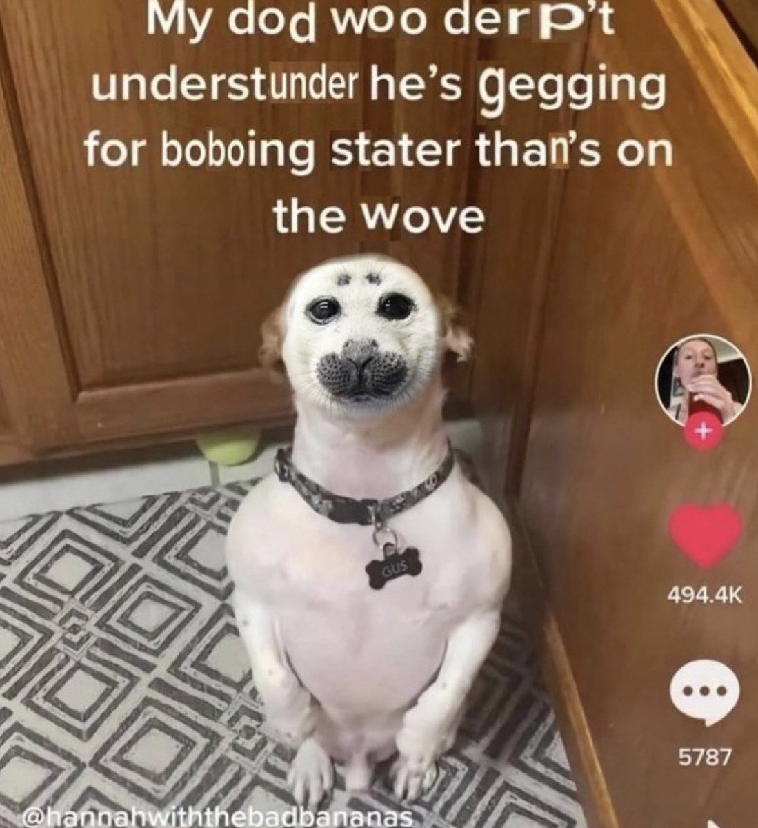 mossyseals's tweet image. i hate when this happens 💔💔💔