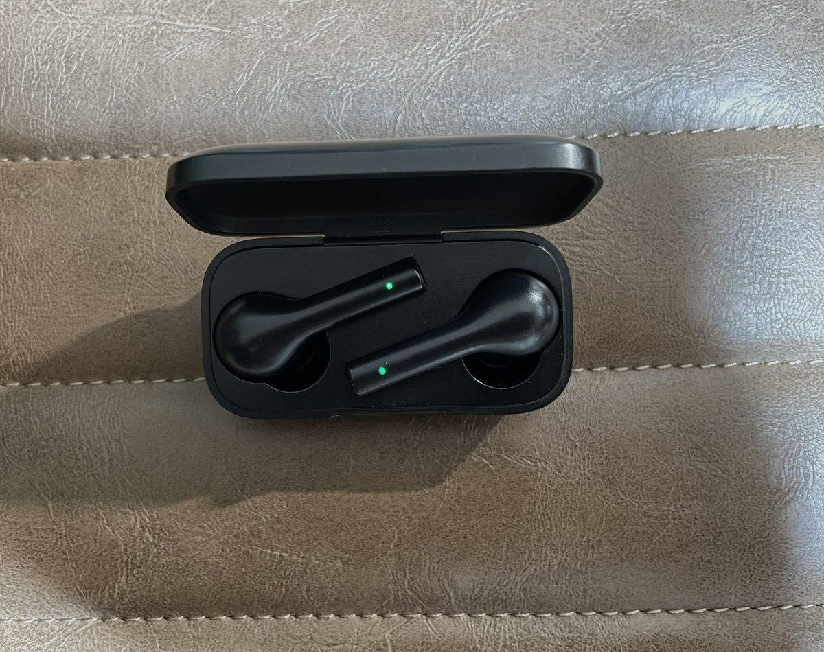 6年使ったイヤホンがついに壊れた