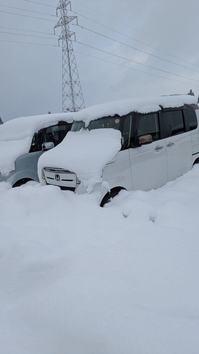 breakseep's tweet photo. @atsgc8 情報ありがとうございます
秋田は雪 https://t.co/1l9w6l5xbm