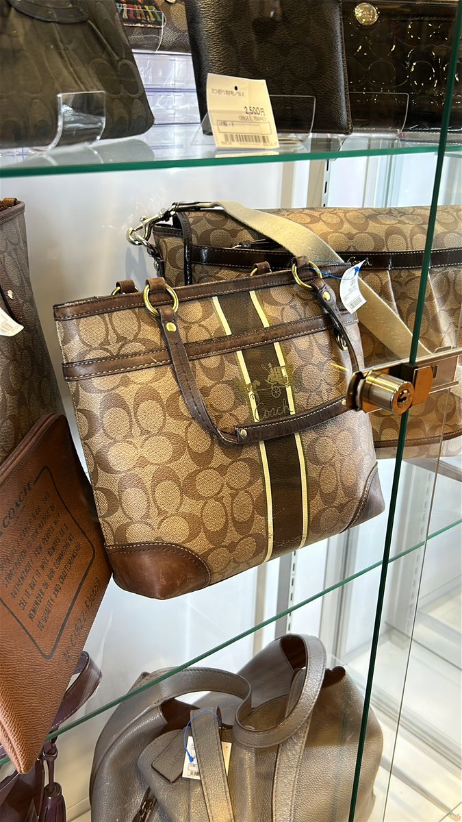 kforkinsley's tweet photo. pov u love thrifting 

Coach 180ribuan, tas lv cuman 2.6jutaan, dapet montbell juga https://t.co/9jaPxVGRpC