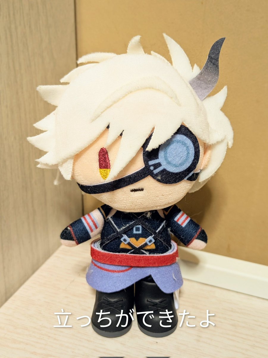 #2月1日は刀帳番号21番鬼丸国綱の日
鬼丸さんの日なのに流行り病で寝込んでおり何にも描けなかった…無力…
せめてお写真で賑やかしだけでも😭