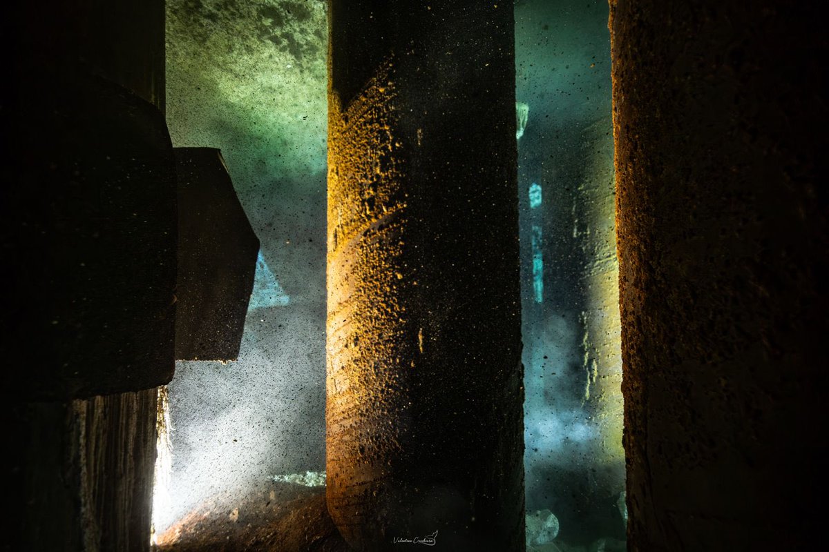 Guillermo DChristy 🇲🇽🇺🇦 🇮🇷 🇬🇧 tweet media