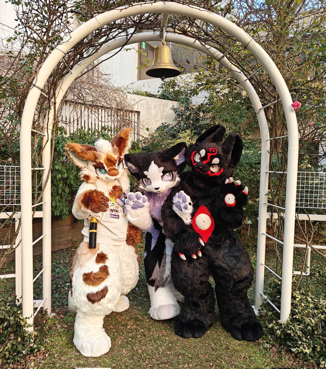 この写真はまだ投稿されてないよ！#jmof #jmof2026
I haven't seen these pictures posted yet!