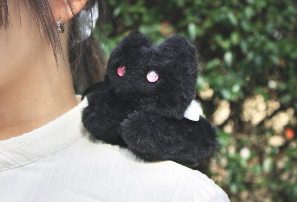 保護猫cafe ウリエル tweet media