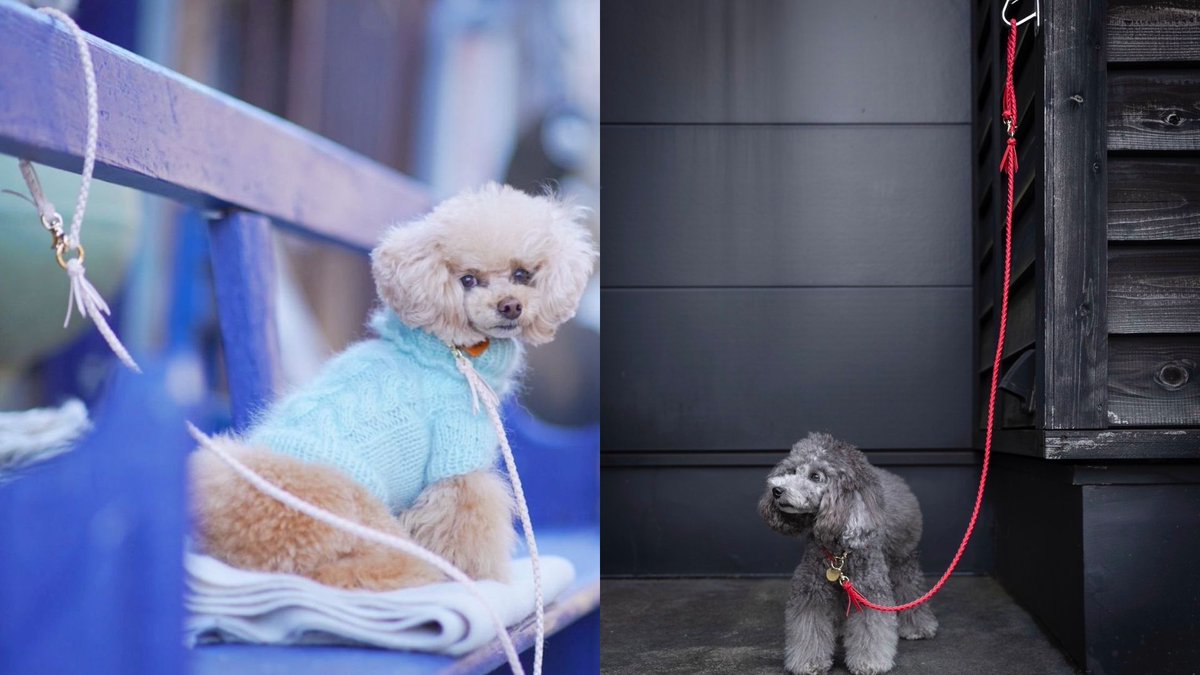 Woodfield Leather Studio(本革の首輪・リード・ハーネスの専門店