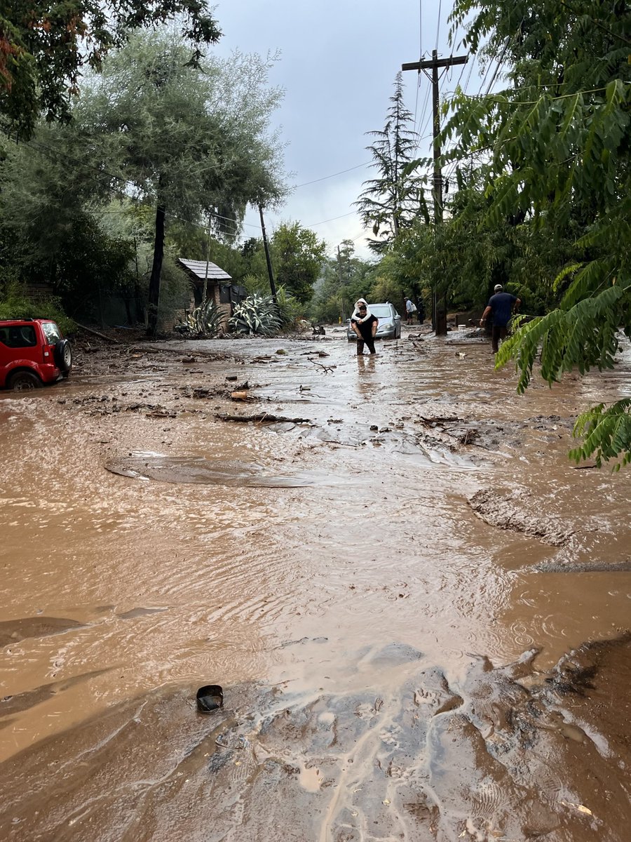 Alerta de Temblor tweet media