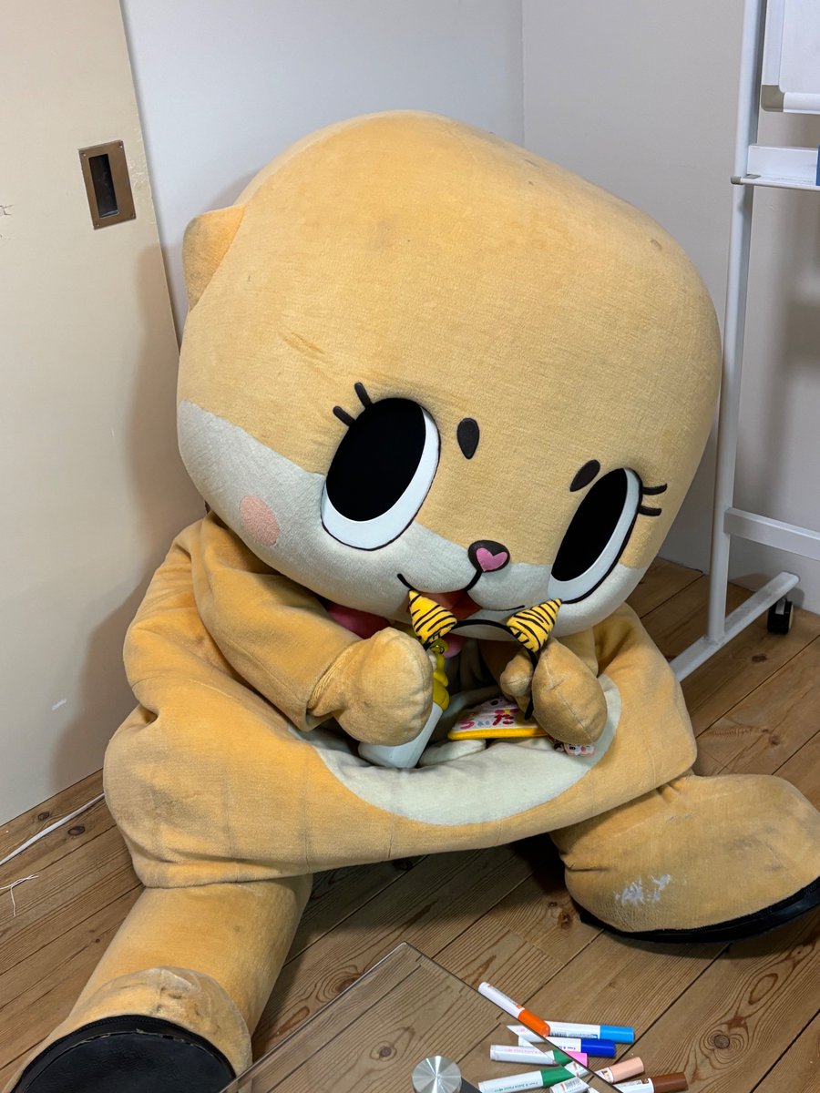 のいず☆次はわかりません (@TokyoChiitan) / Posts / X