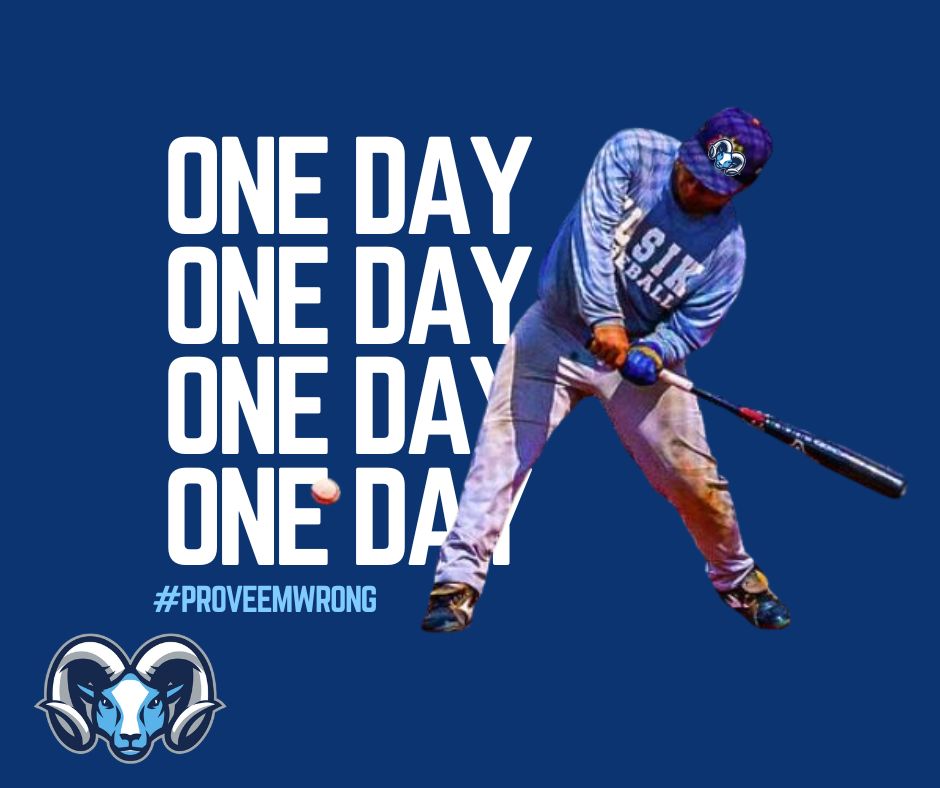 ElsikBaseball tweet media