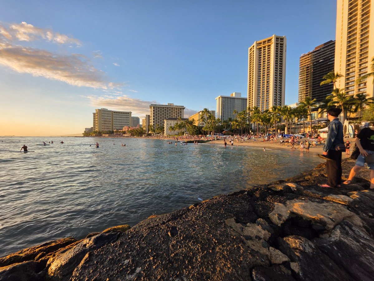ninjaloha50's tweet photo. Good evening https://t.co/Elv9SvCWyP