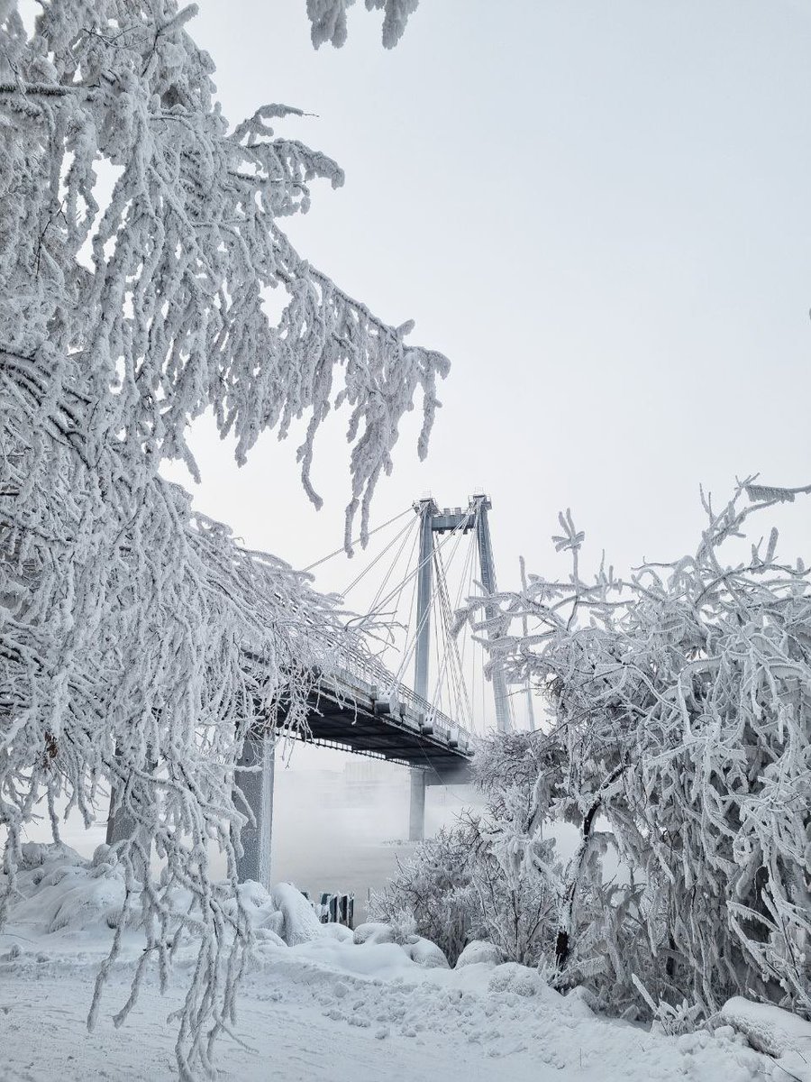 Cara X 🦖 tweet media