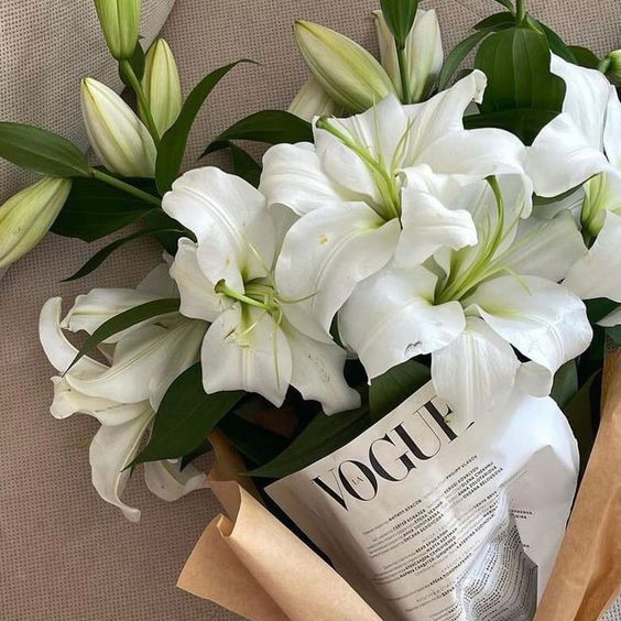 JOSEPH & VINCIEN. | 02.02.2026 tweet media