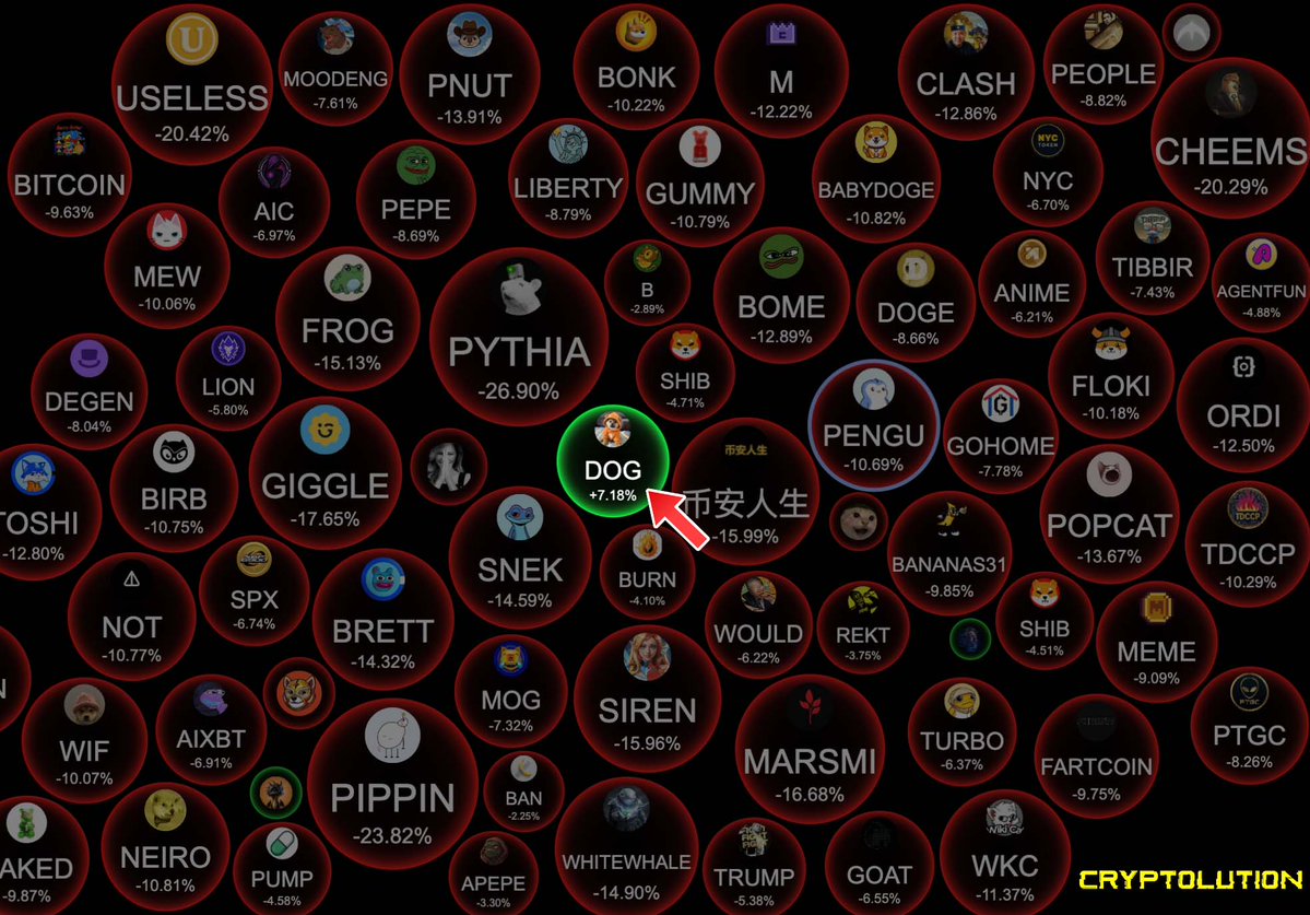 🚨JUST IN: $DOG (Bitcoin) outperforms majority of memecoin market.