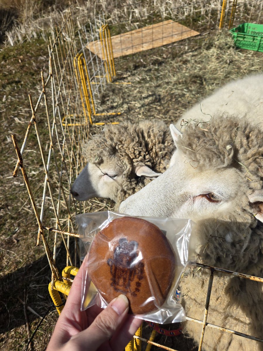 みーやちゃんどらやき…！ @mi__yachan