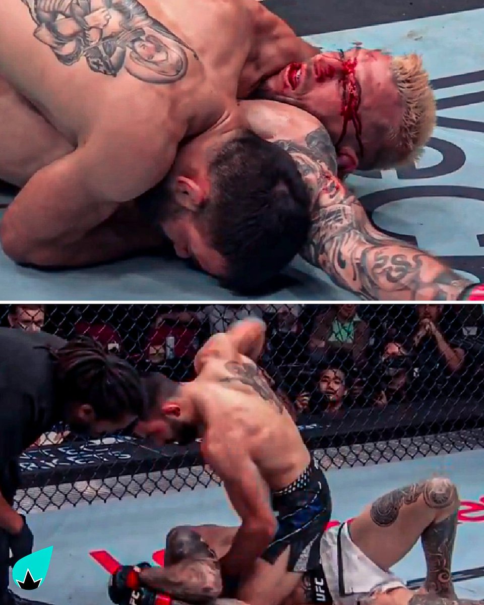 La Sueur tweet media