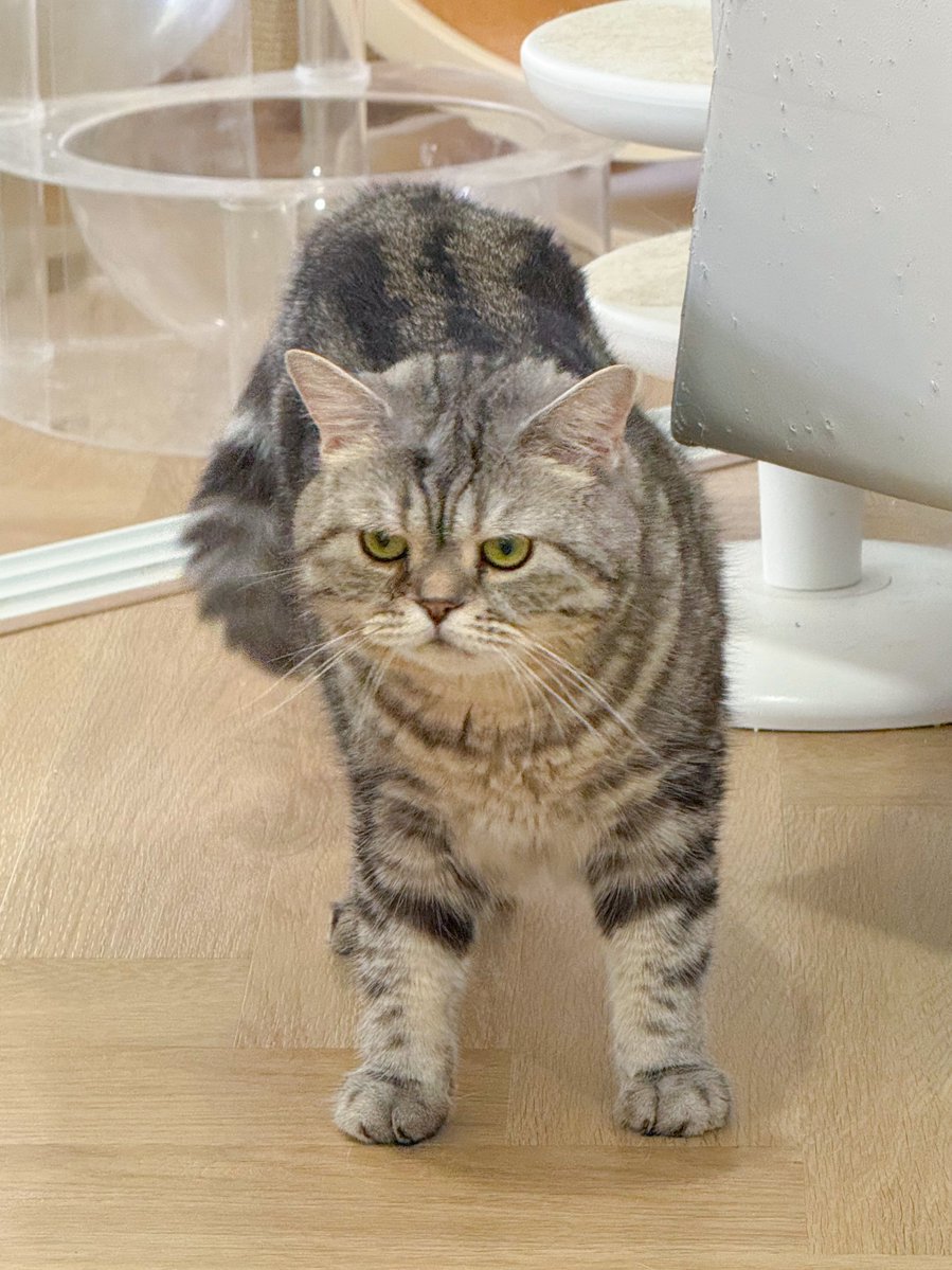 ไปไล่ฟาดจ้มๆเลยโดนยายบ่น ทำตาโตเลย!