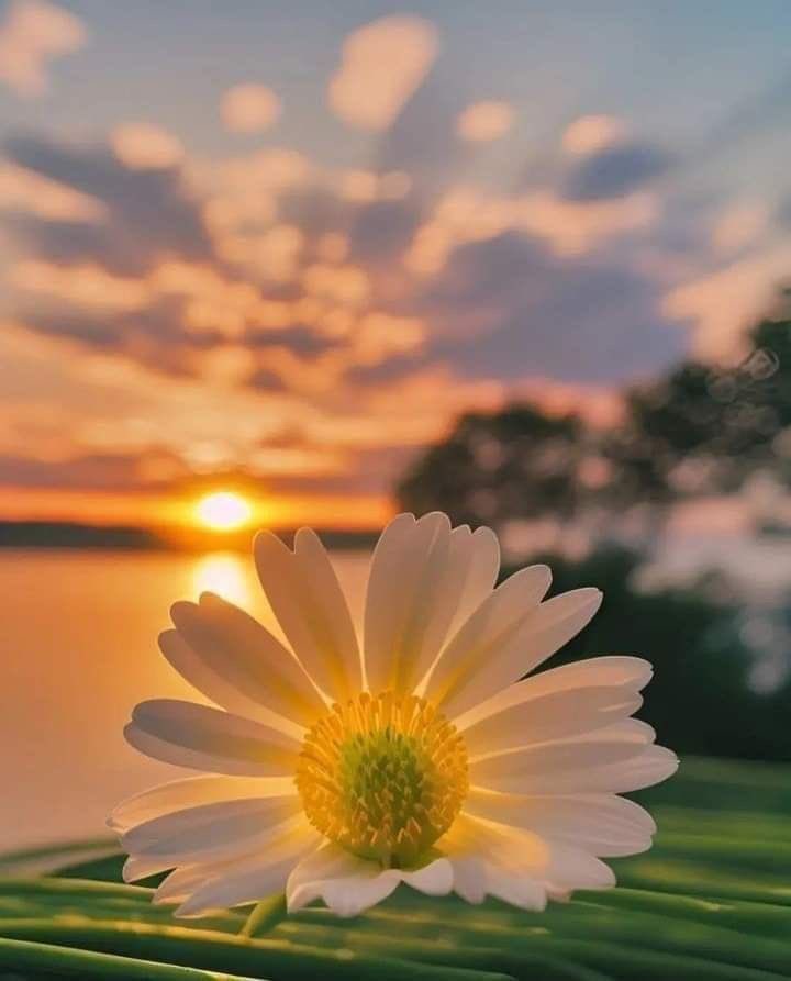 Mahfood Al balushi tweet media