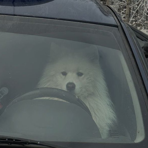 #강다니엘 #KANGDANIEL