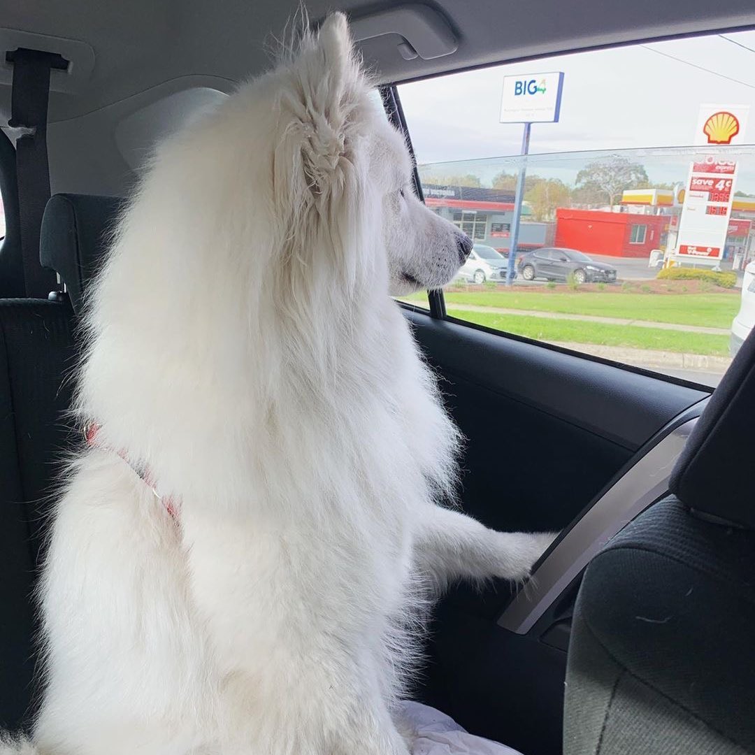 #강다니엘 #KANGDANIEL