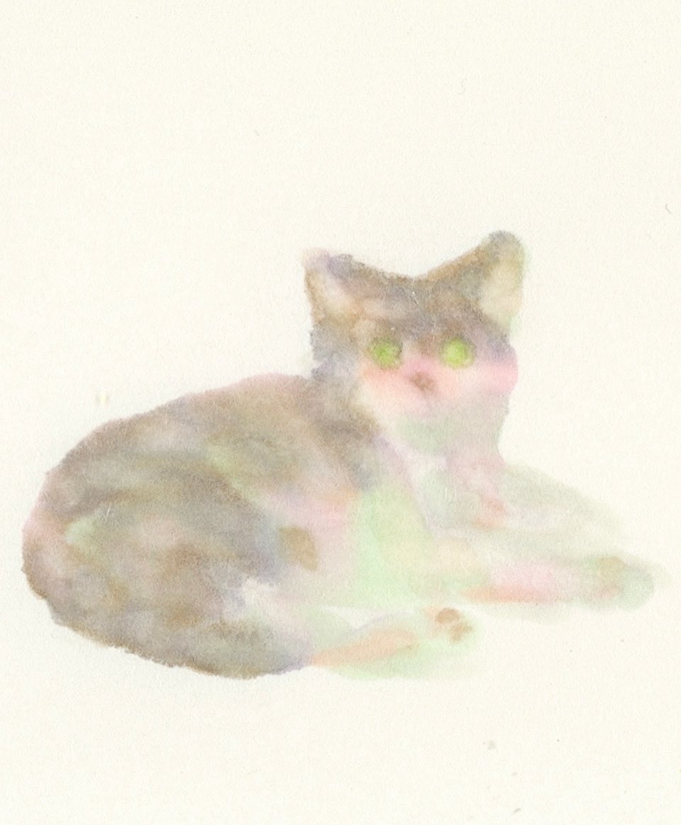 Y o o j i n tweet media