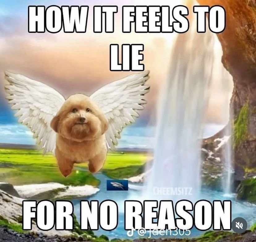 ShitpostGate's tweet image. 