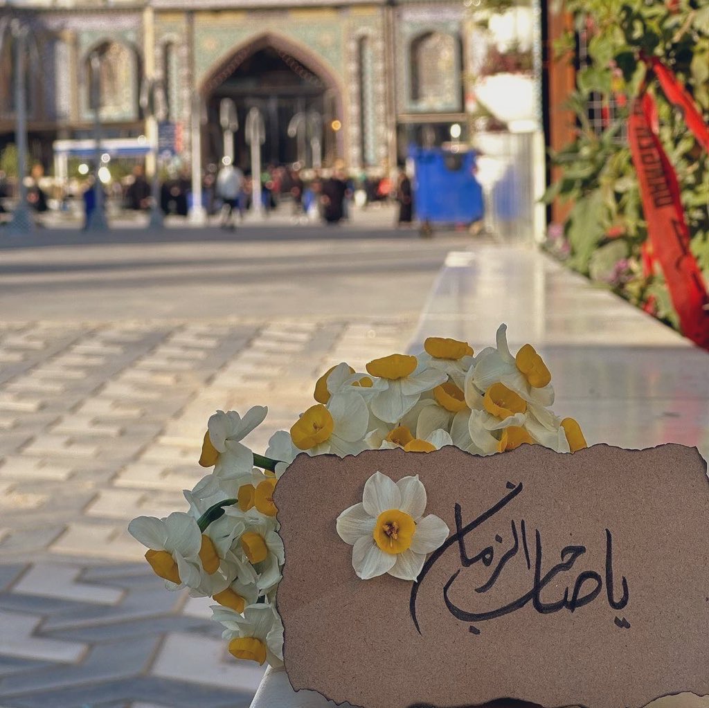 بنت فاطمة 🕊️ tweet media