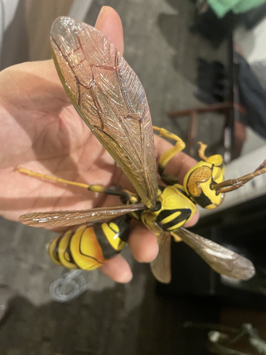 本日はコチラ GUMX New Full Album 