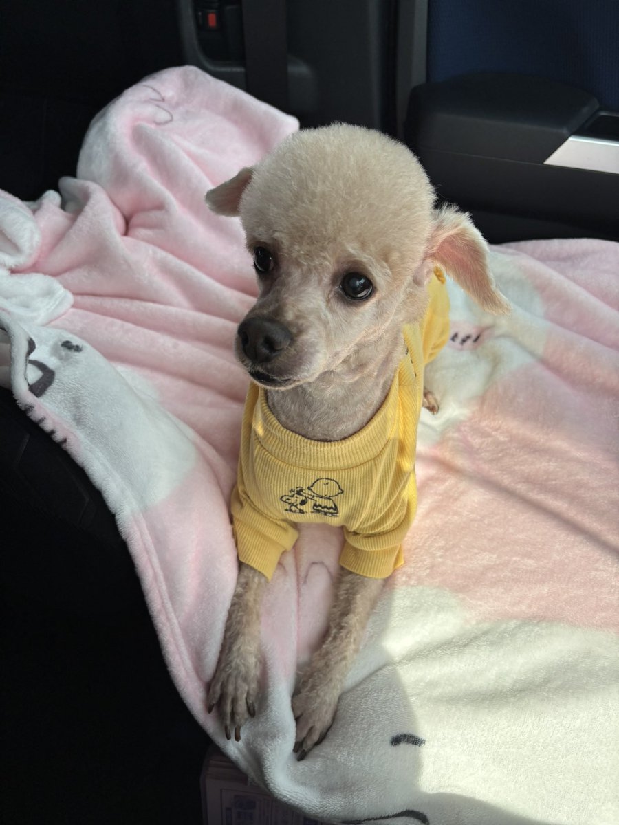 みんなのかめちゃん🎙🌈🐢 (@Utaibito_kame) / Posts / X