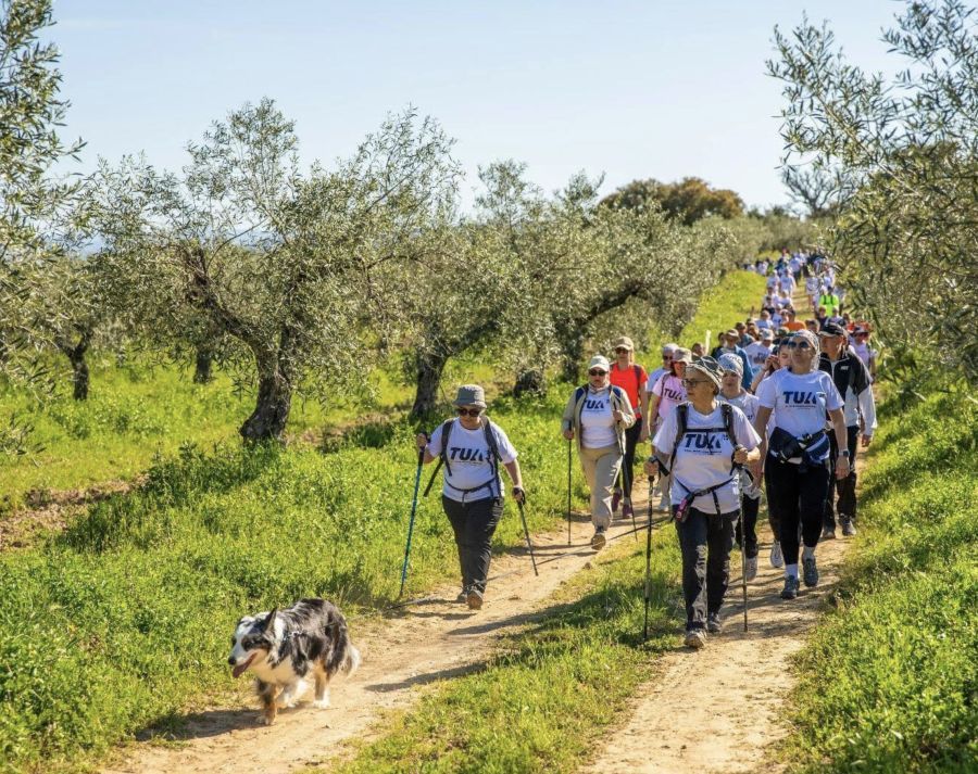 reisquarteu's tweet image. #TuaFestival tem percursos pedestres para todos os gostos: mdb.pt/noticia/tua-fe… #Portugal #TrasOsMontes #caminhadas