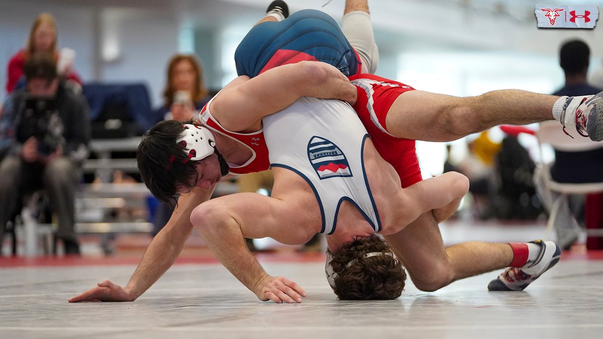 WPI Athletics tweet media
