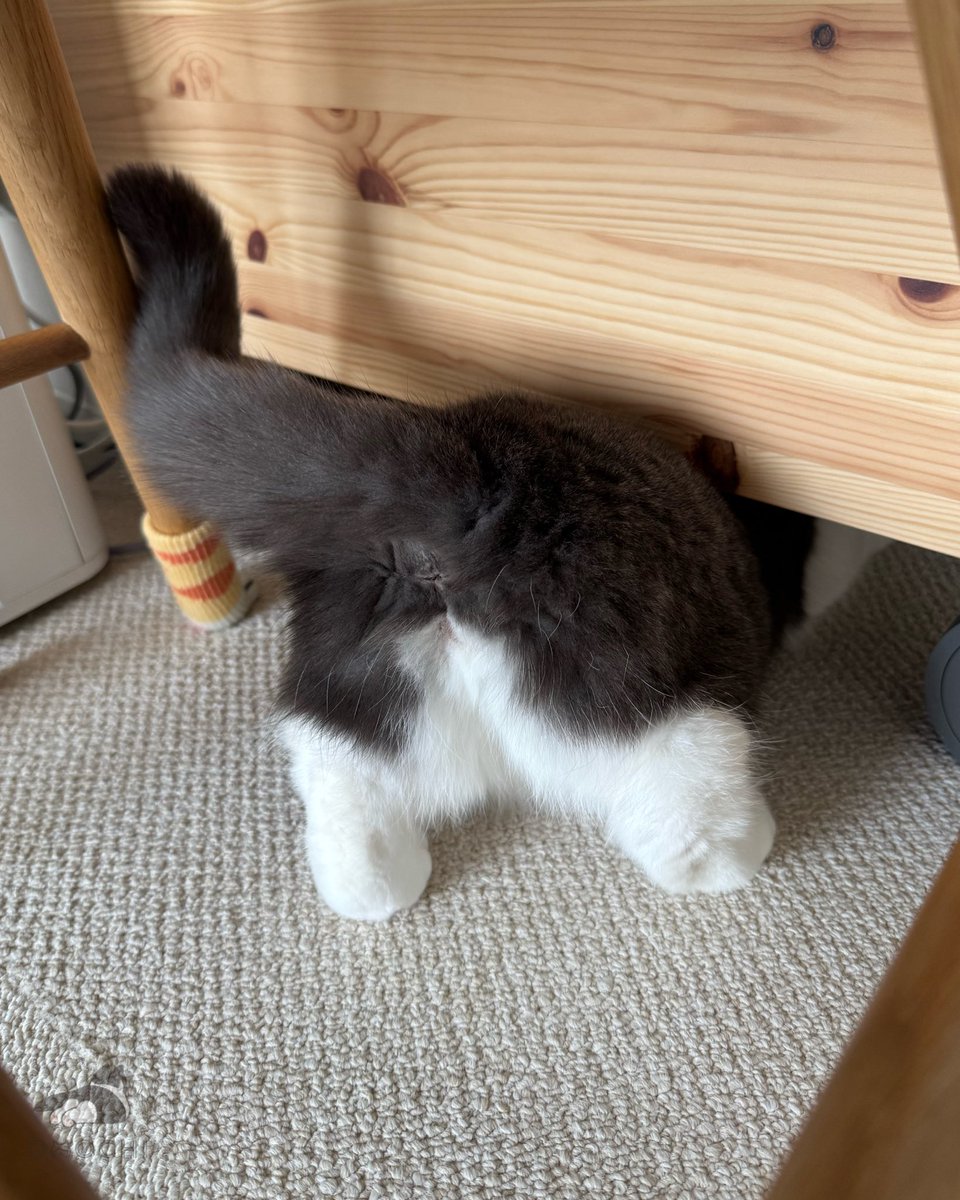 爪切り持って振り返ったらこれ