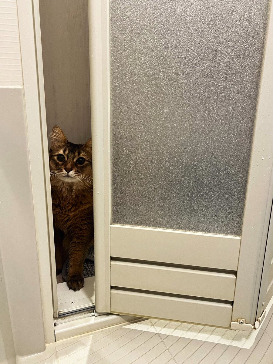 Ryo-1(ﾘｮｰｲﾁ) (@kRCxXQ95whwSOqI) / Posts / X