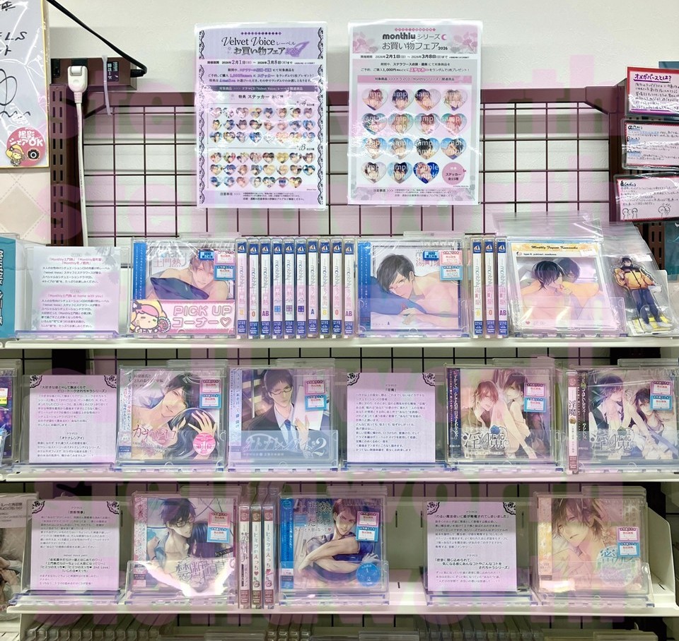 ステラワース店舗 tweet media