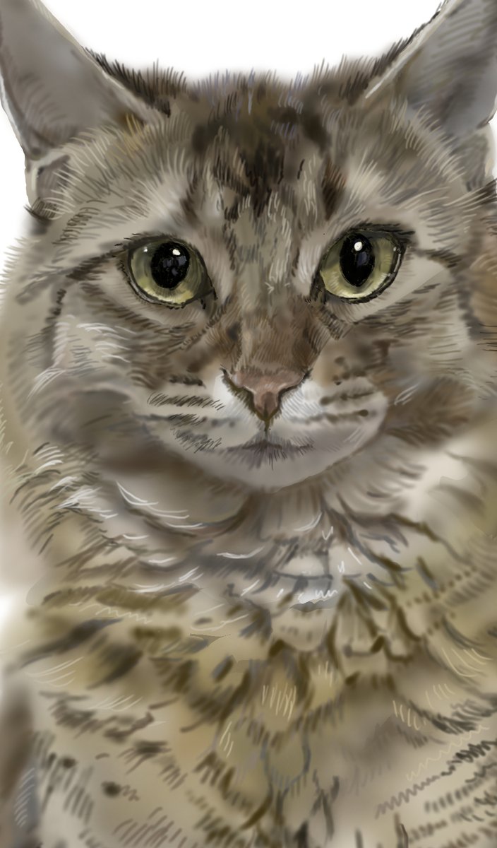 きなこ(猫の絵を描いています） (@91rudo) / Posts / X