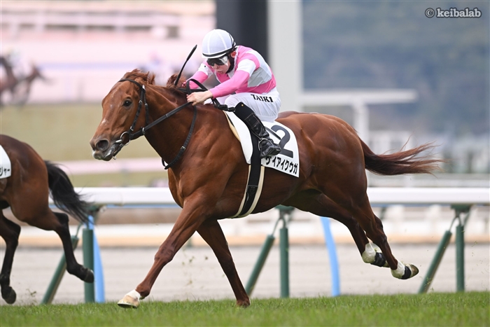 keibalab's tweet photo. 【完全独走！】
こちらは本日小倉5R・3歳新馬を制したケイアイクウガ。

余談ですが、今年のケイアイスタリオン所有の3歳世代牡馬はケイアイアギト、ケイアイブラック、ケイアイアマゾンなど、某シリーズが多数います。
#ケイアイクウガ #橋木太希 
https://t.co/KTCFGSllwl https://t.co/SKzNAVLFMp