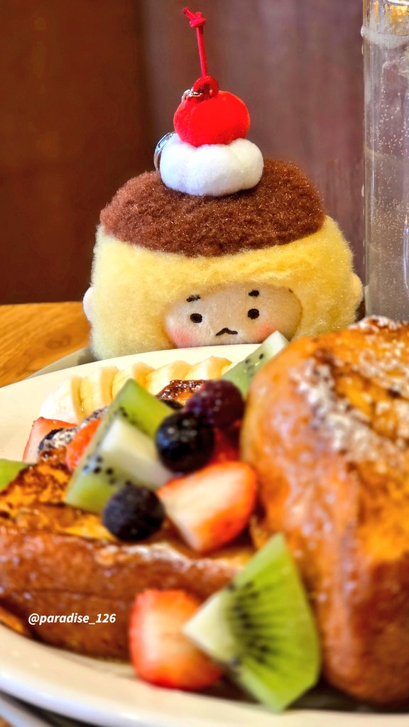 프토를 노리는 푸딩 망곰이😆