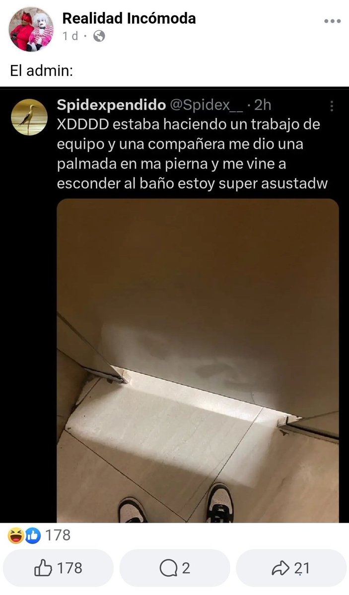 <a href="/Spidex___/">Spidexpendido</a>