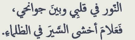 بيت شعر عربي كل يوم tweet media