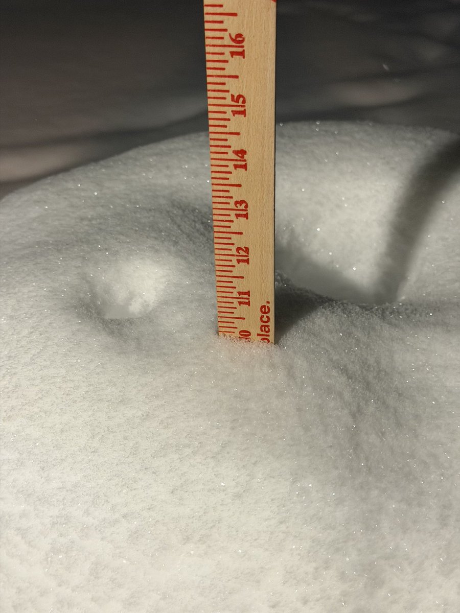 jonwilkir's tweet photo. @wxbrad @NWSGSP West Charlotte from around 7:30. Hasn’t really accumulated much more since. https://t.co/mtgfxGGFK6