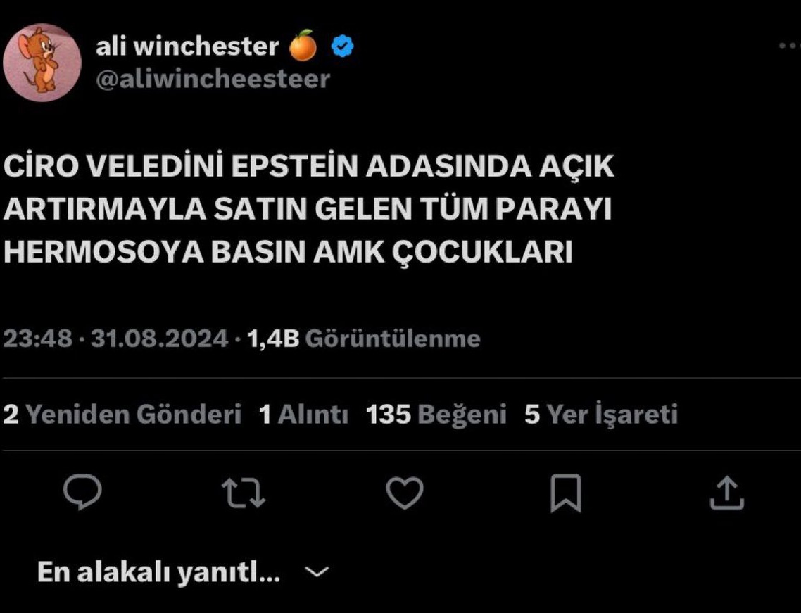Epstein olayları yeniden gündem olmuşken bu oevladına etkilesim veren galatasaraylıları, galatasaraylı fenomen hesapları da bi gözden geçirin.