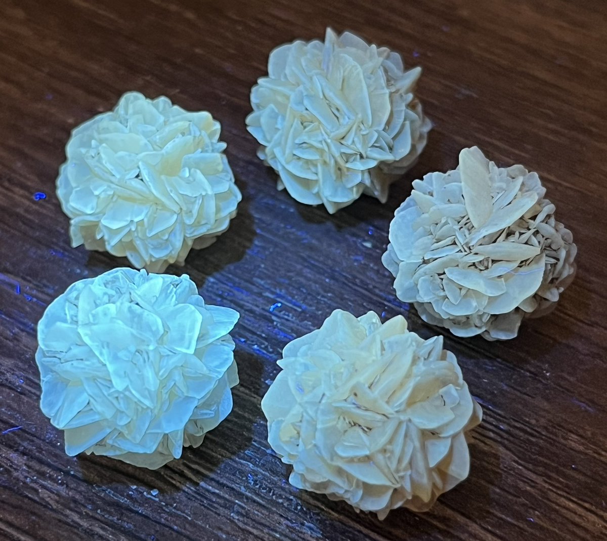 🇨🇦Red River Foodwayの銘柄品、セレナイトローズです。流通している