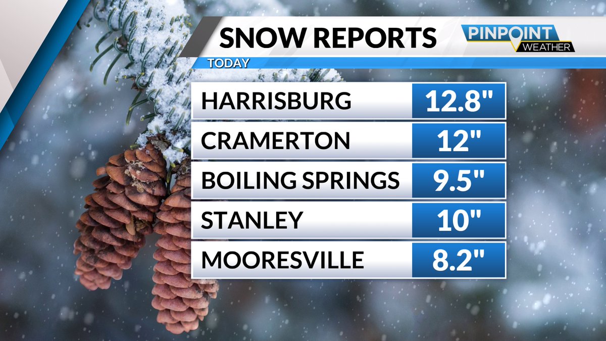 Tara Lane tweet media