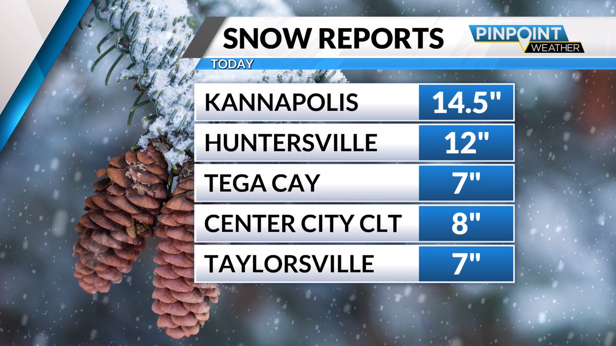 Tara Lane tweet media