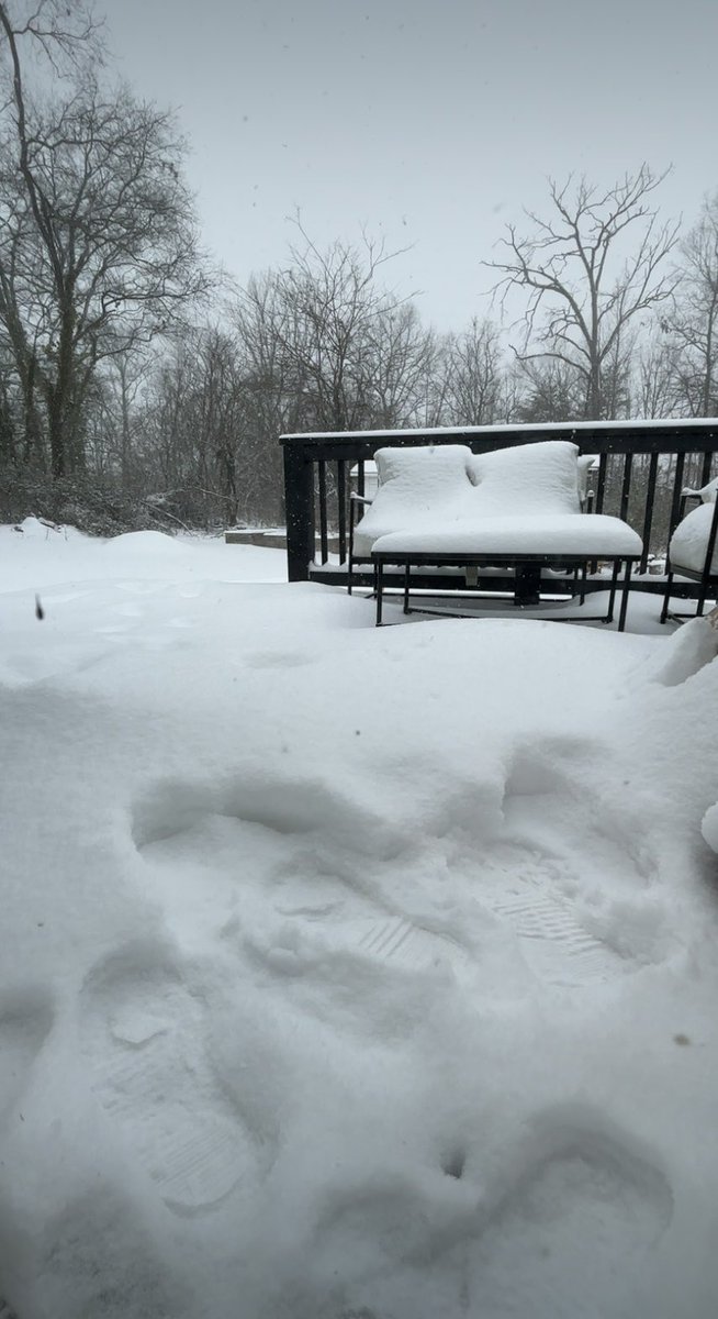 Gamecocks2017's tweet photo. Ended up with almost 8 inches in Greer in my backyard/deck @ChrisWYFF4 @NWSGSP @SCweather_wx ❄️🙌 https://t.co/WgF4zANaOU