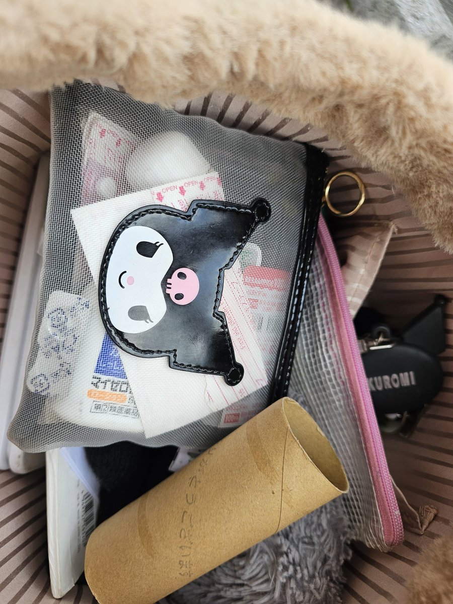 バッグんなか汚すぎて謎にトイレットペーパーの芯入ってる