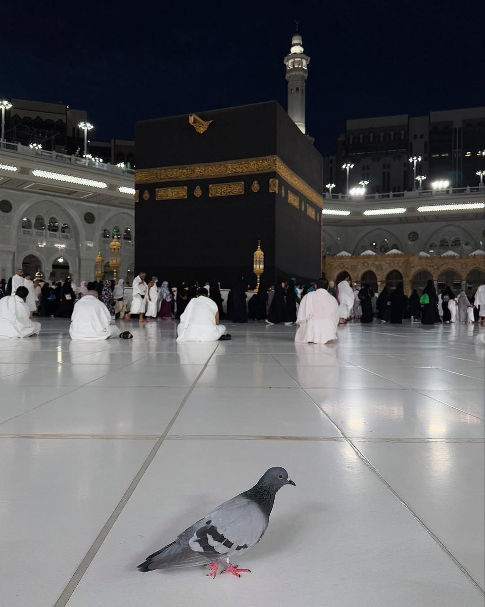 Alhamdhulillaah's tweet photo. ربنا آتنا في الدنيا حسنة وفي الآخرة حسنة وقنا عذاب النار

[Rabbanā ātinā fīd-dunyā ḥasanatan wa-fīl-ākhirati ḥasanatan wa-qinā ʿadhāban-nār]

Our Lord, grant us good in this world, and good in the Hereafter, and protect us from the torment of the Fire https://t.co/BAhWZGTZXz