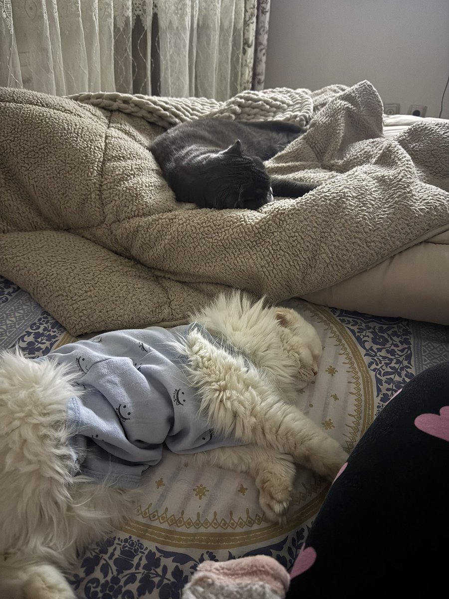 Küçük, huzurlu bir an 💞

#iyigeceler 💤